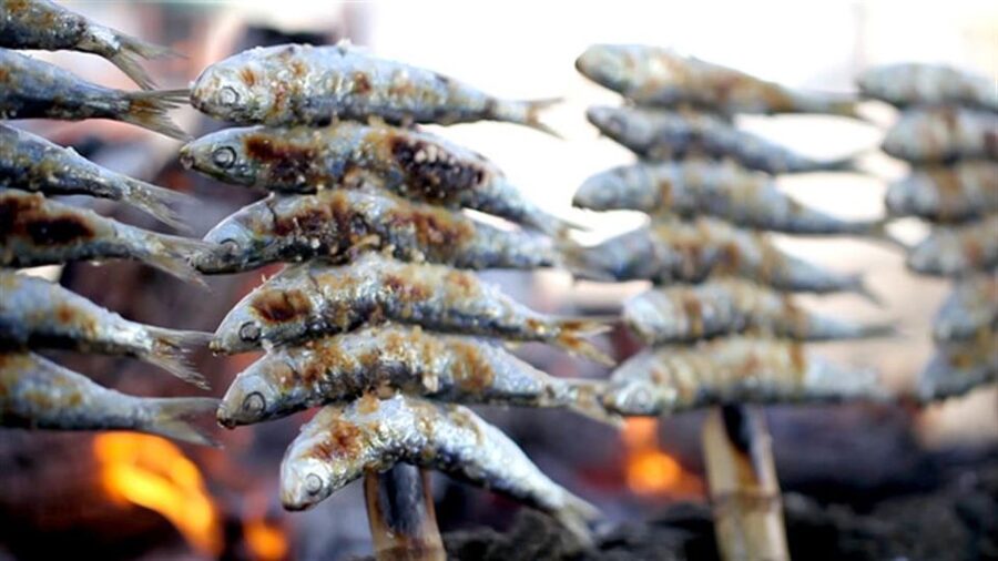Malaga: Paella and Tapas Tour with The Best Flamenco Show - Malaga sightseeing breaks: short, guided, and actually useful