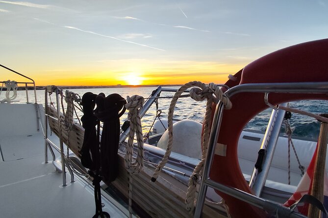 Mallorca Catamaran Tour with Tapas - small group - - Weather, Sea Conditions, and the Big One: Sea Sickness