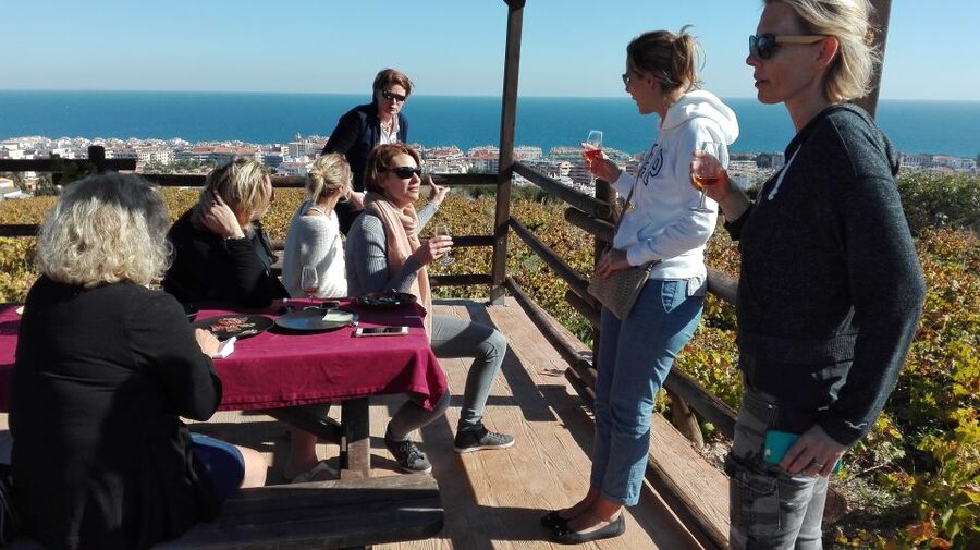 Manilva: Nilva Vineyard, Wine Tasting & Tapas Guided Tour - Key reasons this tour works