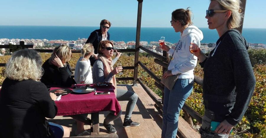 Manilva: Nilva Vineyard, Wine Tasting & Tapas Guided Tour - Manilva’s old-vine setting and why this tour has weight