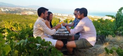 Manilva: Nilva Vineyard, Wine Tasting & Tapas Guided Tour - The 2-hour flow: museum, winery, then the vineyard sunset view
