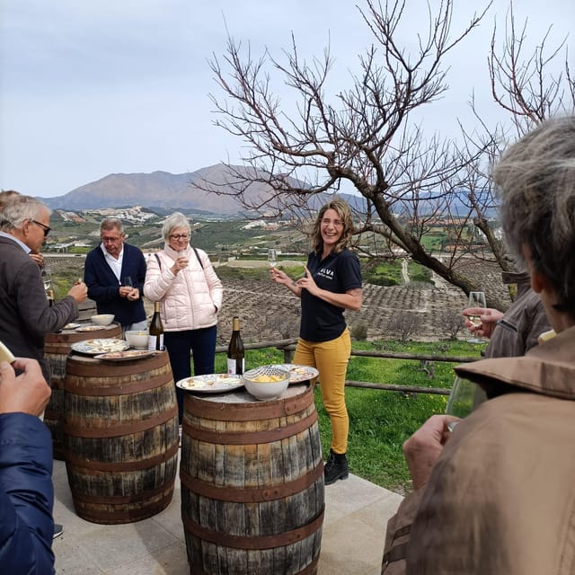 Manilva: Nilva Vineyard, Wine Tasting & Tapas Guided Tour - Vineyard tasting at Viña del Peñoncillo: wines, tapas, and the view