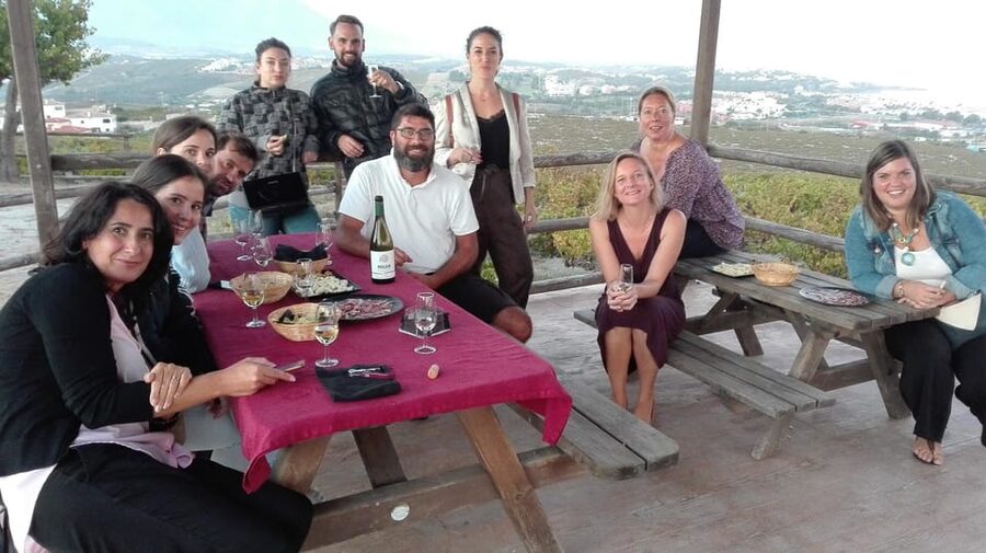 Manilva: Nilva Vineyard, Wine Tasting & Tapas Guided Tour - Who should book this tour (and who might not love it)