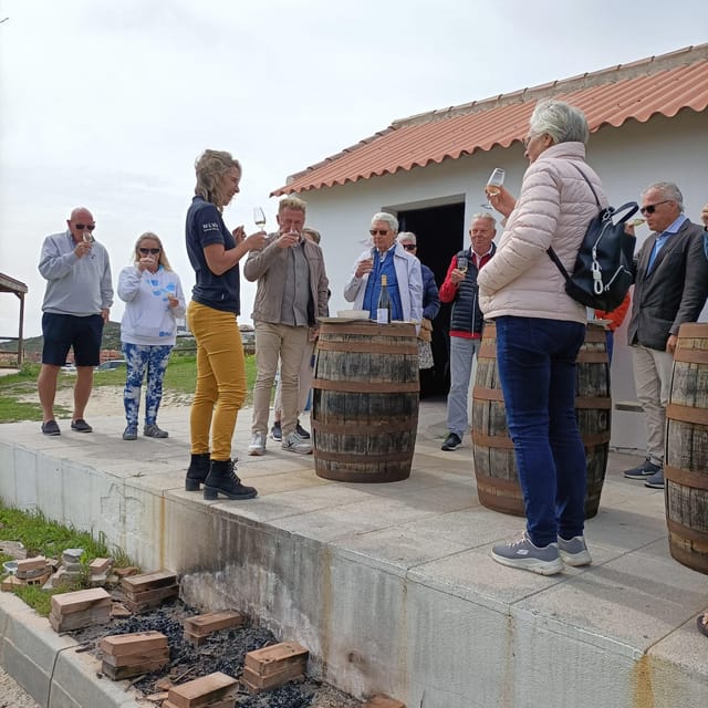 Manilva: Nilva Vineyard, Wine Tasting & Tapas Guided Tour - Should you book Nilva Vineyard wine tasting & tapas?