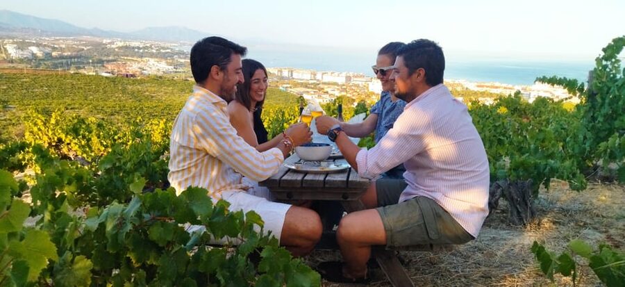 Manilva: Nilva Vineyard, Wine Tasting & Tapas Guided Tour - The 2-hour flow: museum, winery, then the vineyard sunset view