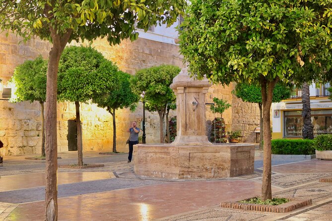 Marbella Old Town: Authentic Tapas Food Tour With Local Guide - Drinks, dessert gaps, and diet limits you can’t ignore