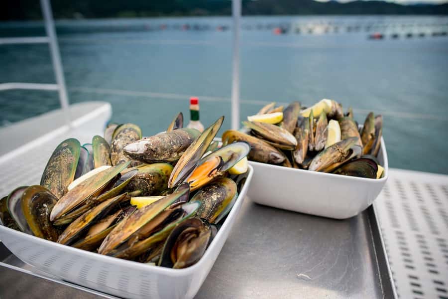 Marlborough: Full-Day Wine and Seafood Tour with Cruise - Marlborough wine plus a Sounds cruise: the smartest way to spend 7 hours