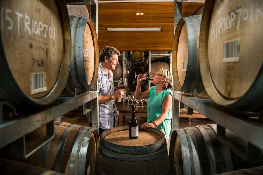 Marlborough: Full-Day Wine and Seafood Tour with Cruise - Drinks on board: one included glass, then a licensed bar