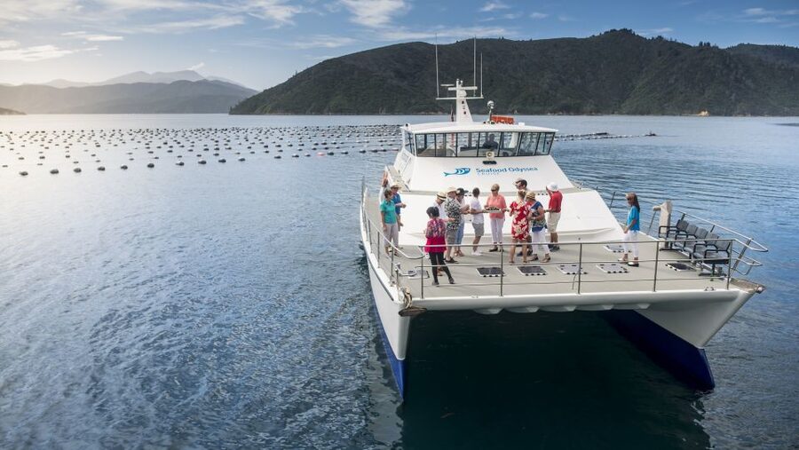 Marlborough: Full-Day Wine and Seafood Tour with Cruise - The marine farming angle: why aquaculture farms are part of the story