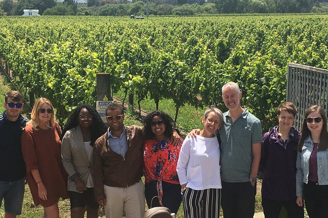 Martinborough Foodie Half Day Tour from Wellington - Schoc Chocolates in Martinborough: The Blind Tasting Game (and Why It’s Fun)