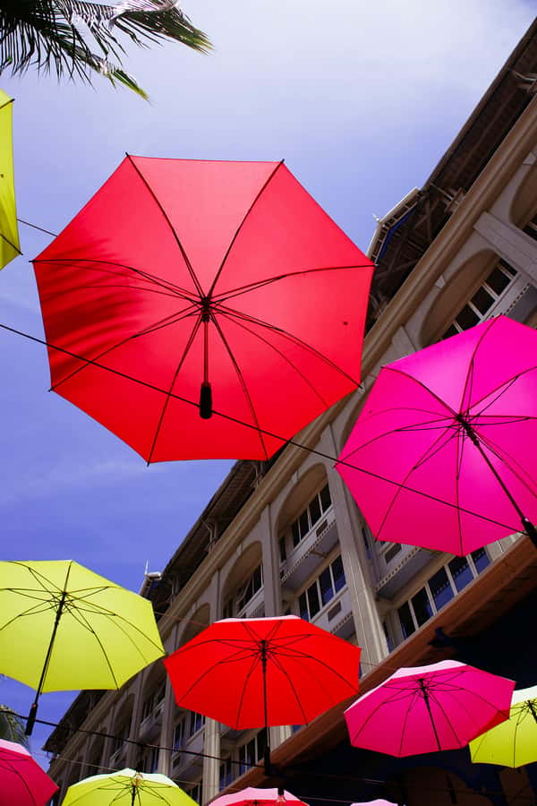 Mauritius: Snorkeling with Turtles & Port Louis Street Food - Key highlights I’d plan around