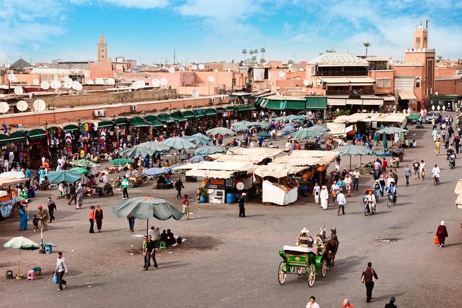 Medina Stories Marrakech Food Tour with 15+ Tastings - Key Highlights You’ll Feel in Real Time