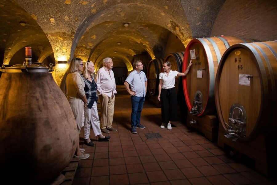 Montalcino: Guided Winery Tour & Gourmet Food Tasting - Two tasting options at Corte Pavone: pick the one that matches your wine mood