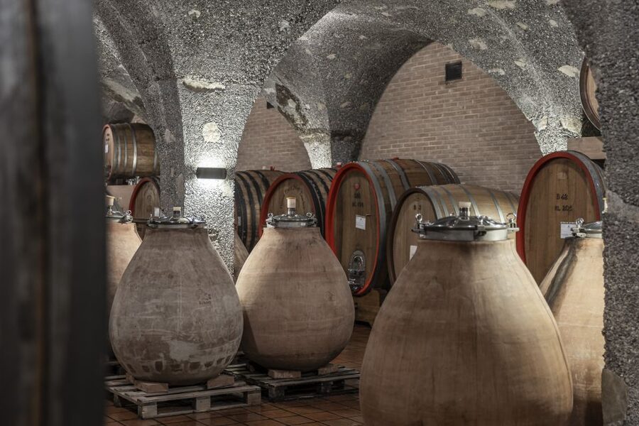 Montalcino: Guided Winery Tour & Gourmet Food Tasting - Guide quality and small-group energy: why the answers matter