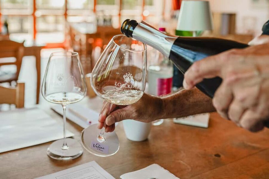 Montalcino: Guided Winery Tour & Gourmet Food Tasting - Price and logistics: 2.5 hours is the sweet spot
