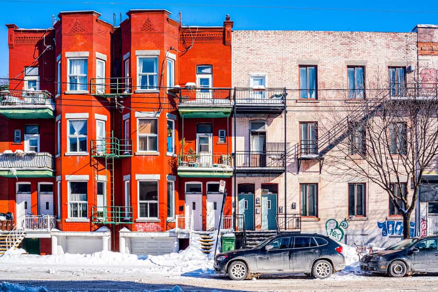 Montreal: Mile End District Food Tour with 8+ Tastings - Italian coffee and a hand-piped cannoli finish