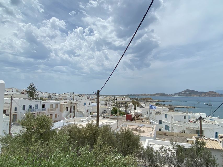 Naxos: Food Walking Tour & Cooking Class with Meal & Drinks - Meeting at the Sphinx of Naxos: start where locals start