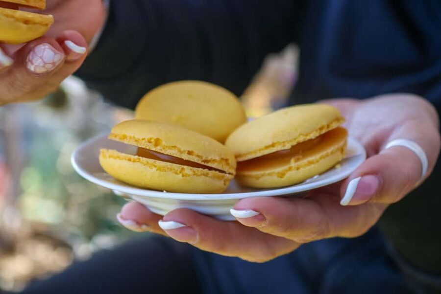 Nice: Old Town Food Walking Tour - Who This Tour Fits Best (and Who Might Want a Different One)