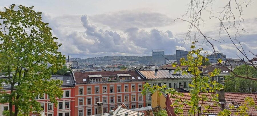 Norwegian Food Tour & Hidden Gems of Oslo - Why this Oslo food-and-walk tour feels local fast