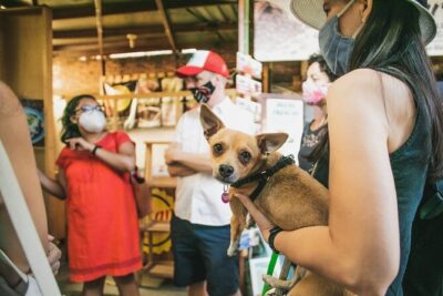 Oaxaca Street Food Tour. Signature Markets Tour - Stop 1: Mercado 20 de Noviembre and the smoke alley vibe