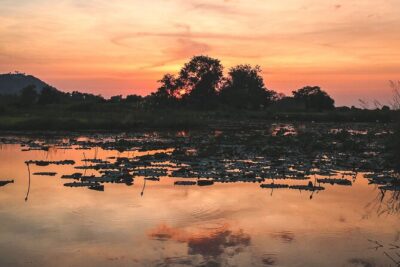 Old Siem Reap Sunset Food Tour by Tuk-tuk - Price and value: is $75 actually fair?