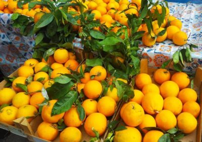 Palermo: Street Food Walking Tour with Local Guide & Tasting - Meeting point at Chiosco Vicari: quick way to get oriented