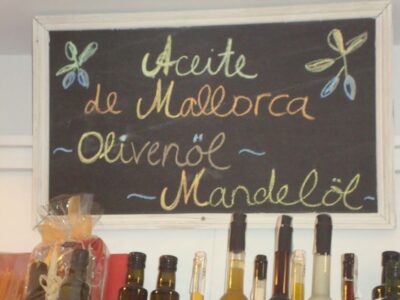Palma Tour with Wine and Tapas Tasting - Starting at Plaça de la Reina: getting your bearings fast