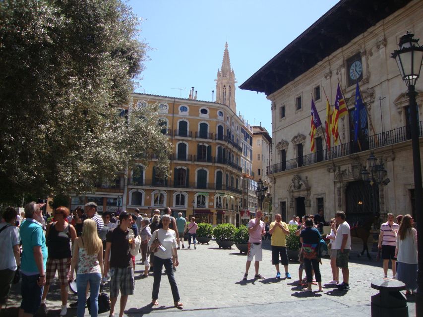 Palma Tour with Wine and Tapas Tasting - Price and value: what $194 buys you in 3 hours