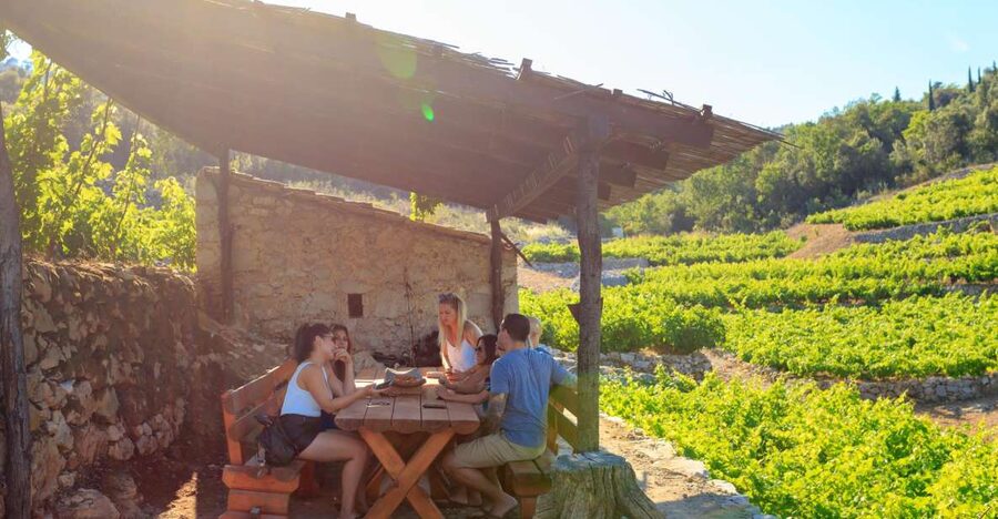 Pelješac Full-Day Wine and Food Tour from Dubrovnik - Pelješac: why this peninsula is worth the 1-hour drive