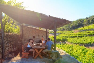 Pelješac Full-Day Wine and Food Tour from Dubrovnik - Getting there without the “tour bus fatigue”