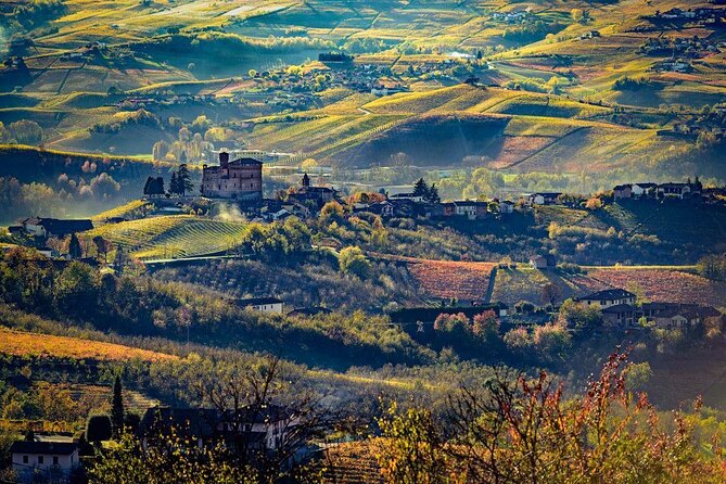 Piedmont Winery Tour: Taste Barolo, Barbaresco & Traditional Food - Food in Piedmont Style: Cheese, Cured Meats, Bread, and Sometimes Hazelnuts