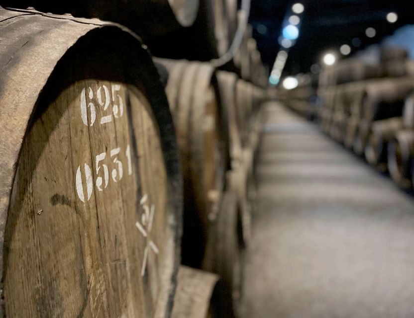 Porto: Wine Tasting with Tapas Walking Tour - Who should book (and who should skip it)
