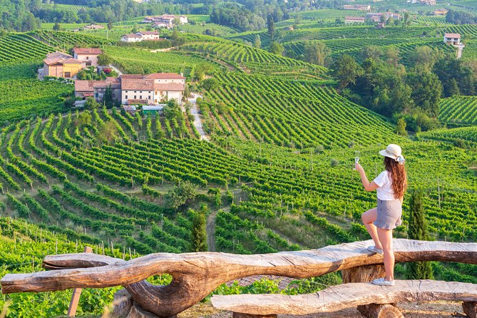 Premium Prosecco Hills Winery Tour with Prosecco Tastings & Food - The quick reasons this tour scores 4.7