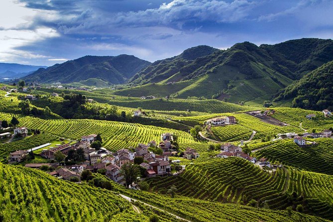 Premium Prosecco Hills Winery Tour with Prosecco Tastings & Food - Venice to Valdobbiadene and Conegliano: the drive is part of the deal