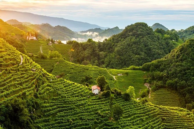 Premium Prosecco Hills Winery Tour with Prosecco Tastings & Food - Conegliano winery visit: owner time and a real small-group feel