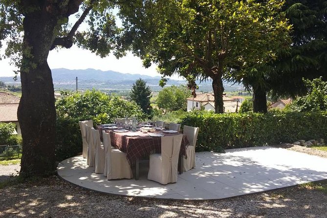 Premium Prosecco Hills Winery Tour with Prosecco Tastings & Food - What you taste: 4 DOCG glasses with cold cuts, cheese, and bread