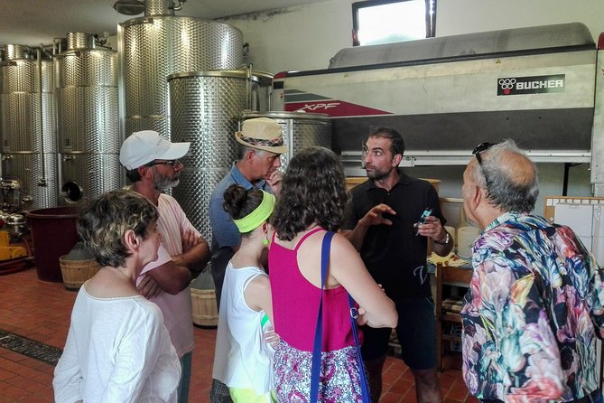 Premium Prosecco Hills Winery Tour with Prosecco Tastings & Food - The van ride back to Venice: a smooth ending, plus helpful extras