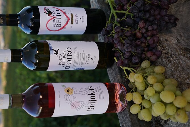 PREMIUM TASTING and TAPAS with GUIDED TOUR - How the Hour Works: Timing, Meeting Point, and What to Do With Limited Time