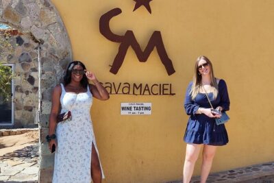 Premium Valle de Guadalupe Wine and Food Tour - Three Boutique Wineries and 10–12 Tastings: The Real Value