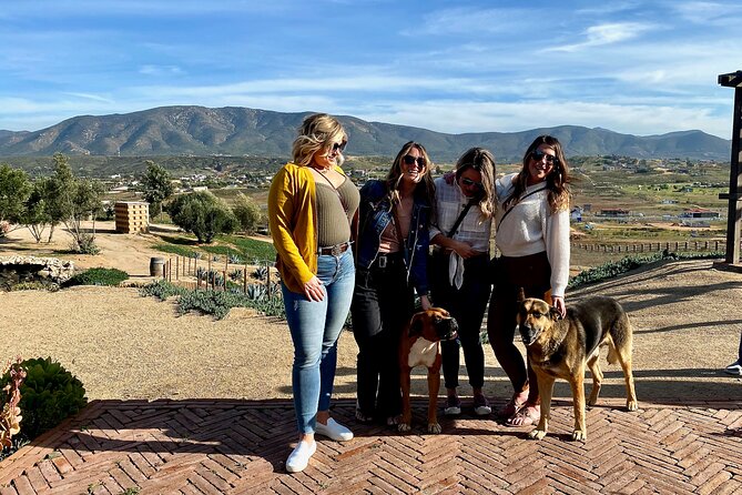 Premium Valle de Guadalupe Wine and Food Tour - Price and Logistics: Does $259 Feel Like a Deal?