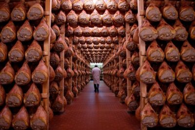 Private Emilia Romagna Food Tour Full Day - Stop 1: Parmigiano-Reggiano at Consorzio Produttori Latte