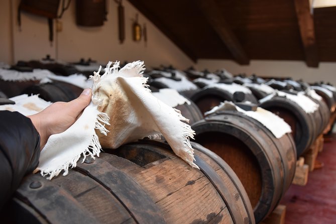 Private Full Day Parma Food Tour: Parmesan Cheese, Parma Ham, Lunch, Vinegar - Pickup, transport, and pacing for an 8-hour Parma food day
