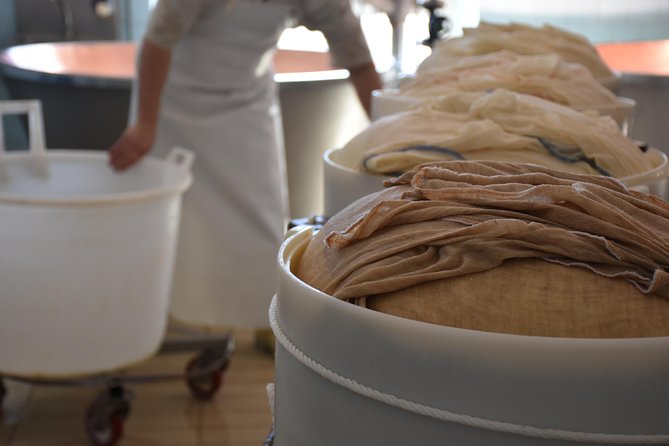 Private Full Day Parma Food Tour: Parmesan Cheese, Parma Ham, Lunch, Vinegar - Who should book this private Parma food tour