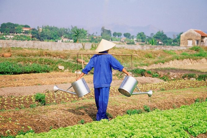 Private Hoi An Evening Food Tastings Tour by Bike - Key Things You’ll Notice on This Bike Food Tour