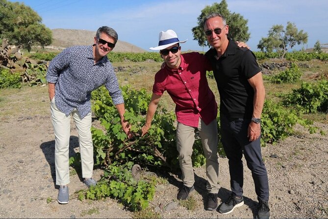 Private Santorini Sunset Wine Tour with Tastings and Tapas - Santo Wines: the free-admission stop with strong views