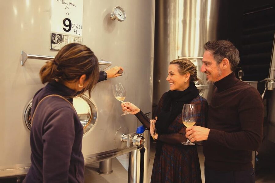 Private Wine, Tapas & Cava Experience from Barcelona - Key highlights you’ll care about