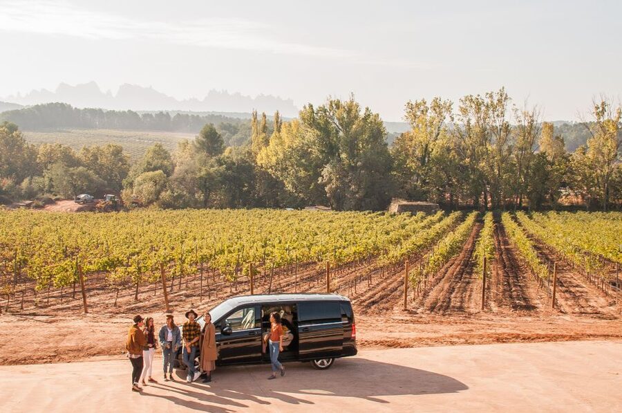 Private Wine, Tapas & Cava Experience from Barcelona - Pla de Bages at Oller del Mas: a 10th-century castle with organic wines