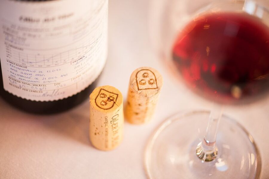 Private Wine, Tapas & Cava Experience from Barcelona - Guides and Catalonia stories: why conversation changes everything
