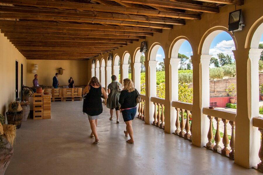 Private Wine, Tapas & Cava Experience from Barcelona - Practical tips so you don’t fight the day