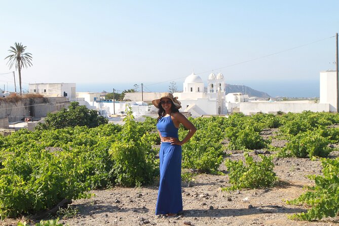 Private Wine Tour in 3 Wineries with 12 Wine Tastings and Tapas - Estate Argyros: Vineyard and Cellars, Plus Assyrtiko and Vinsanto
